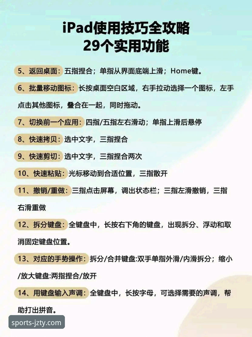 九州体育官网娱乐体验操作教程：从入门到精通的安全使用指南